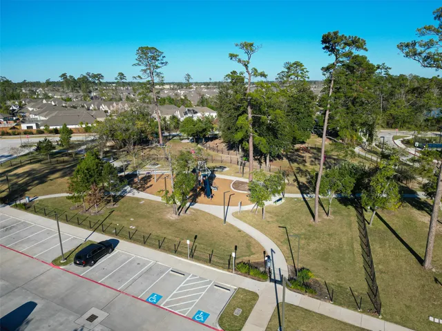 a roof deck with table and chairs potted plants and a palm tree