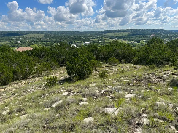 a view of a bunch of trees