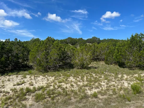 a view of a bunch of trees
