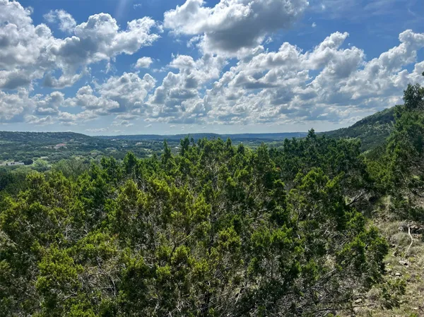 a view of a field with trees in the background
