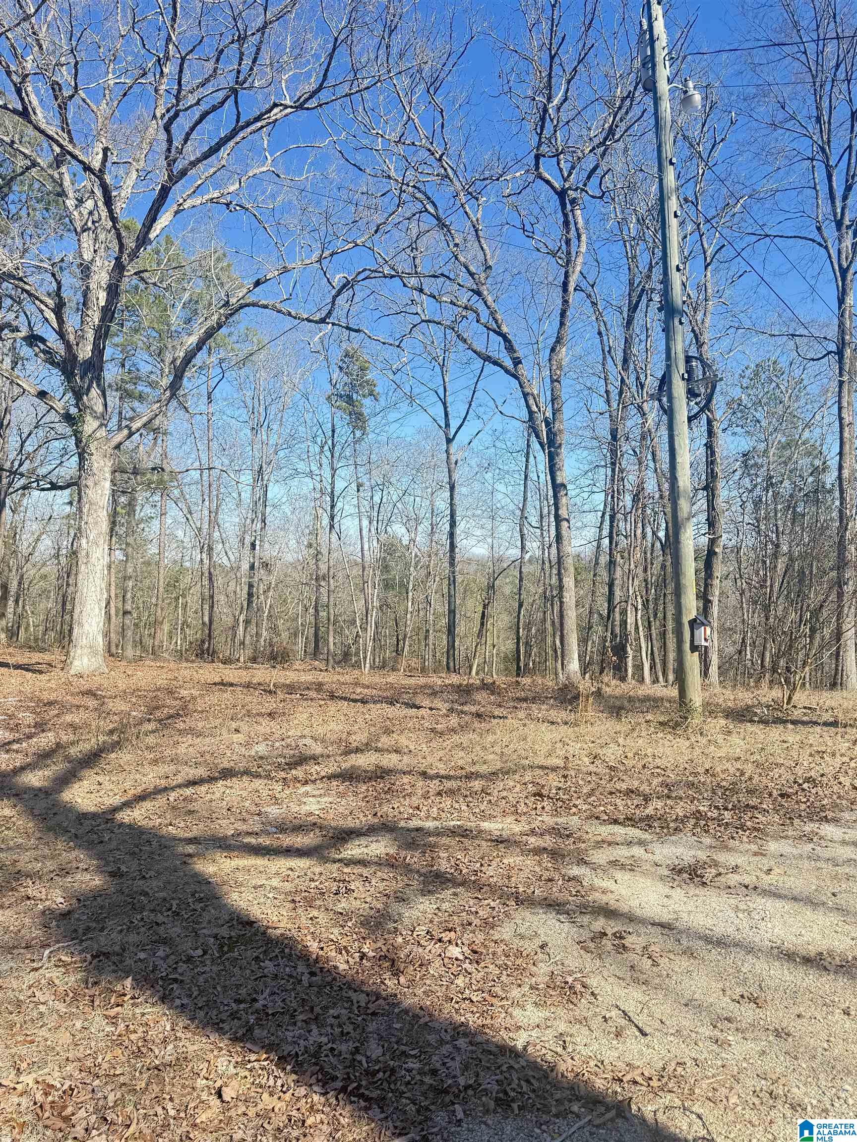 295 Country Lane Talladega, AL 35160 - Photo 10 of 42