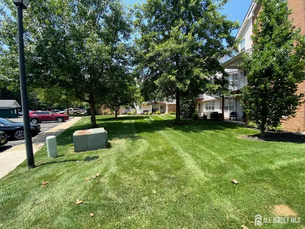 a view of a garden with a bench