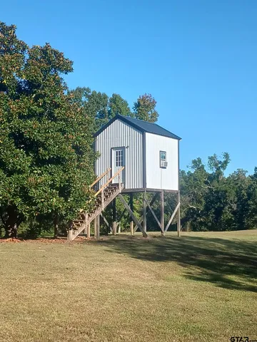 a view of a yard with a tree