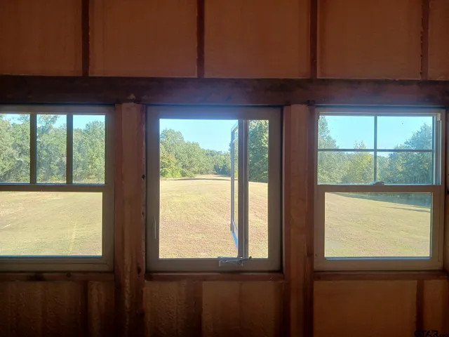 a view of a forest with lots of trees