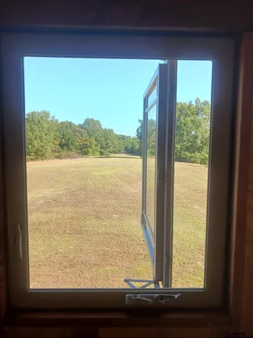 a view of a forest with lots of trees