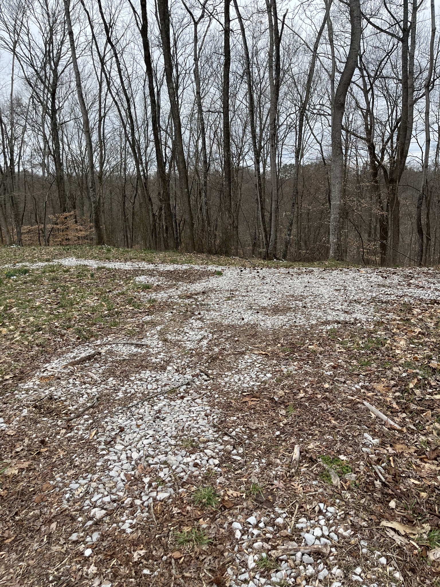 403 Maynard Ridge Road Silver Point, TN 38582 - Photo 3 of 5