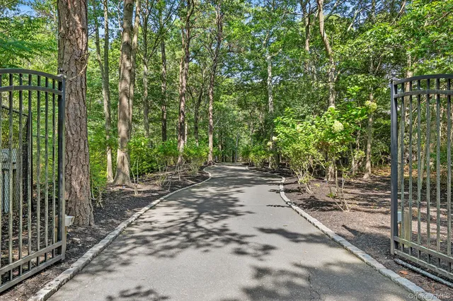 a view of backyard with green space