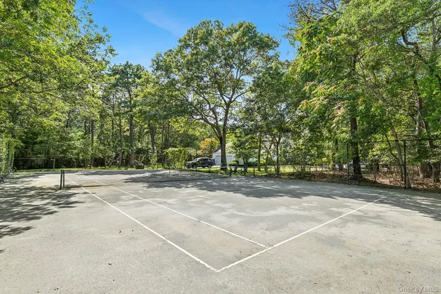 a view of a yard with a trees