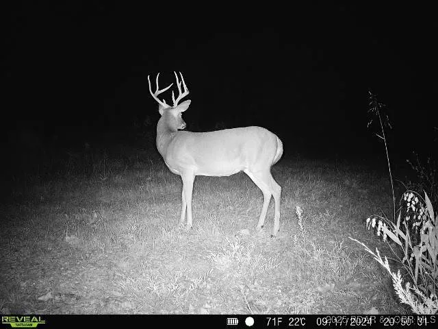 $375,000 | 17 Highway 17, Iberia, MO 65486