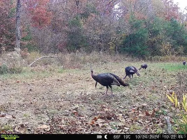 $375,000 | 17 Highway 17, Iberia, MO 65486