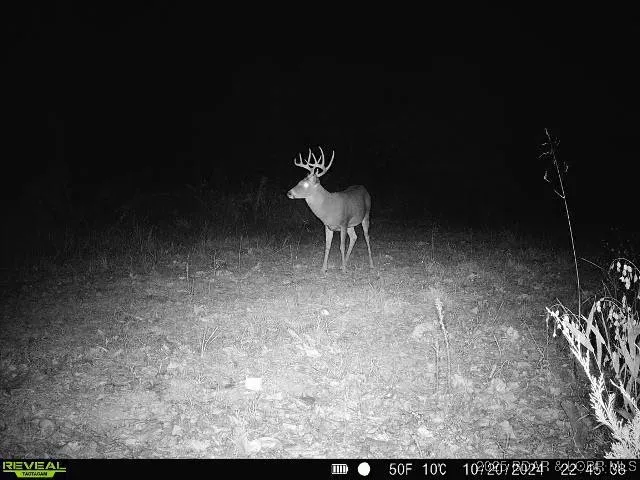 $375,000 | 17 Highway 17, Iberia, MO 65486