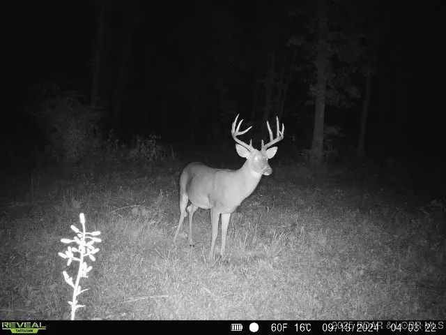 $375,000 | 17 Highway 17, Iberia, MO 65486