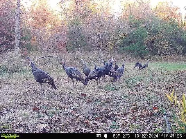 $375,000 | 17 Highway 17, Iberia, MO 65486