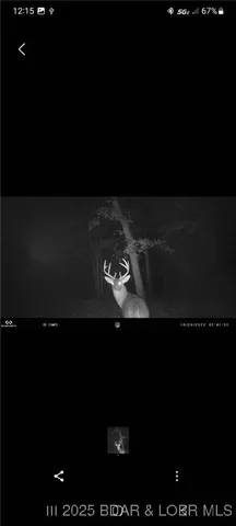 $375,000 | 17 Highway 17, Iberia, MO 65486