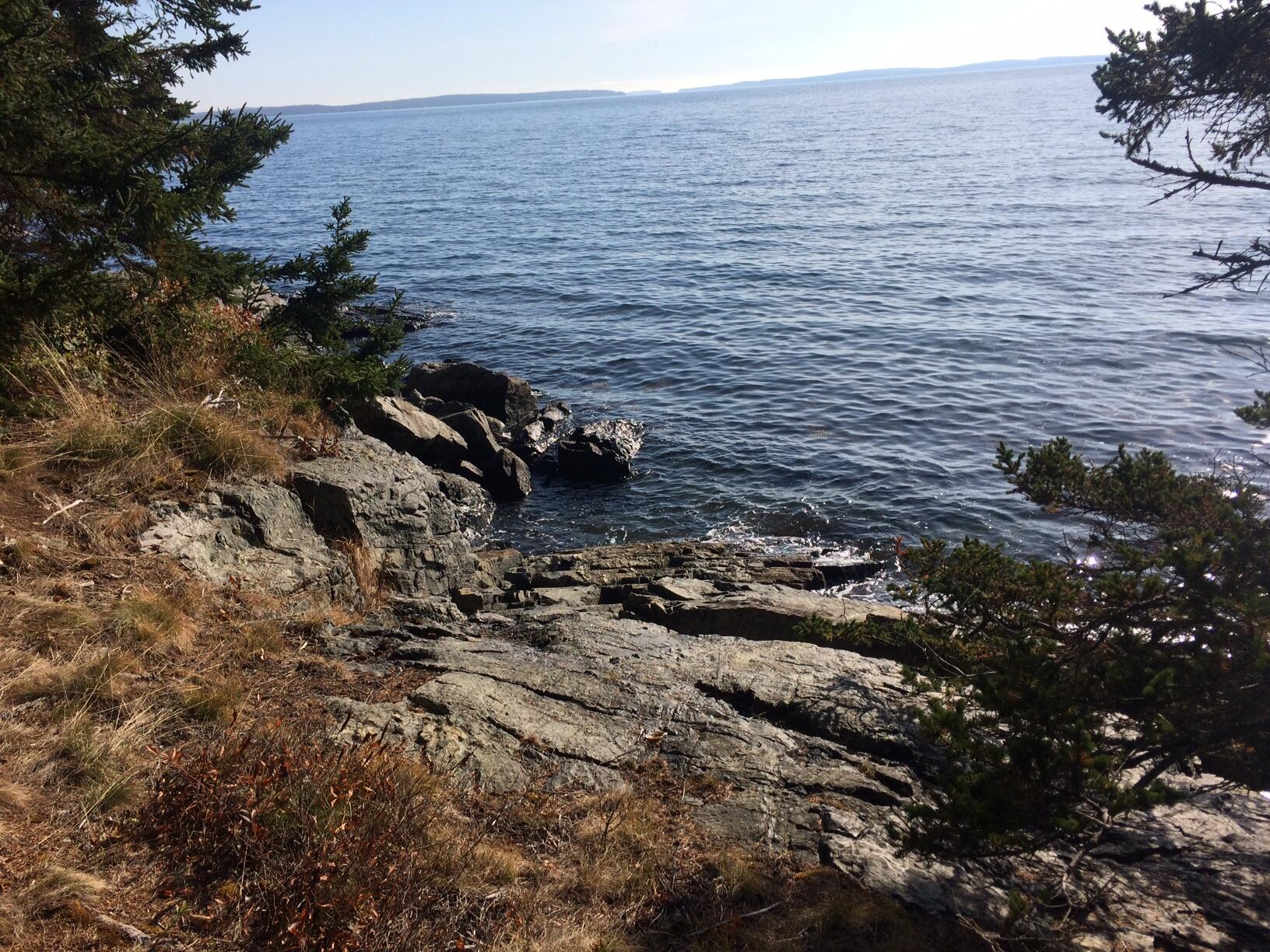 16 Rocky Coast Road Tremont, ME 04612 - Photo 40 of 40 IMG_8745