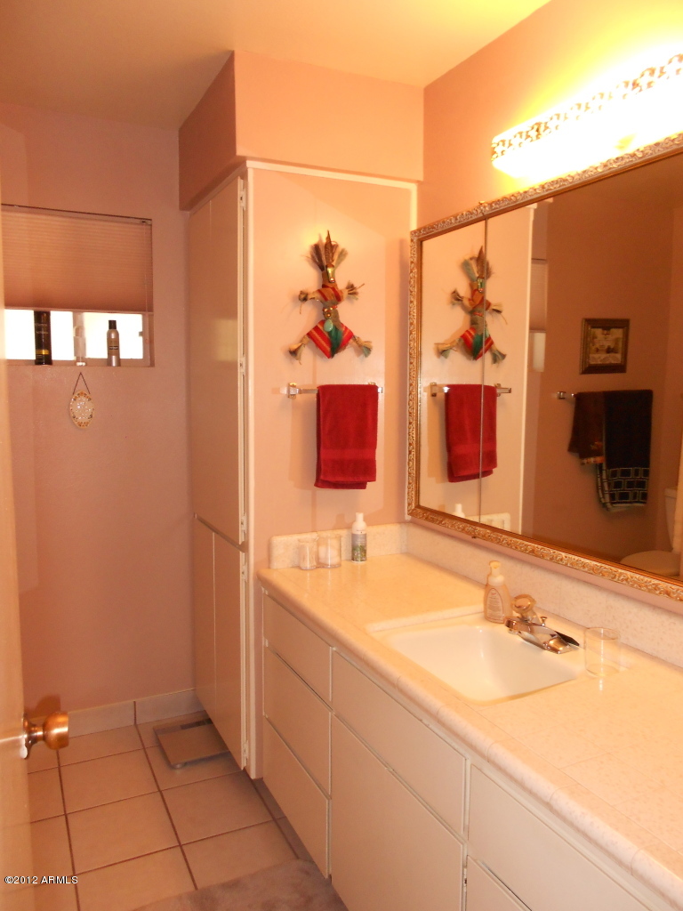6552 East Decatur Street Mesa, AZ 85205 - Photo 19 of 27 guest bath