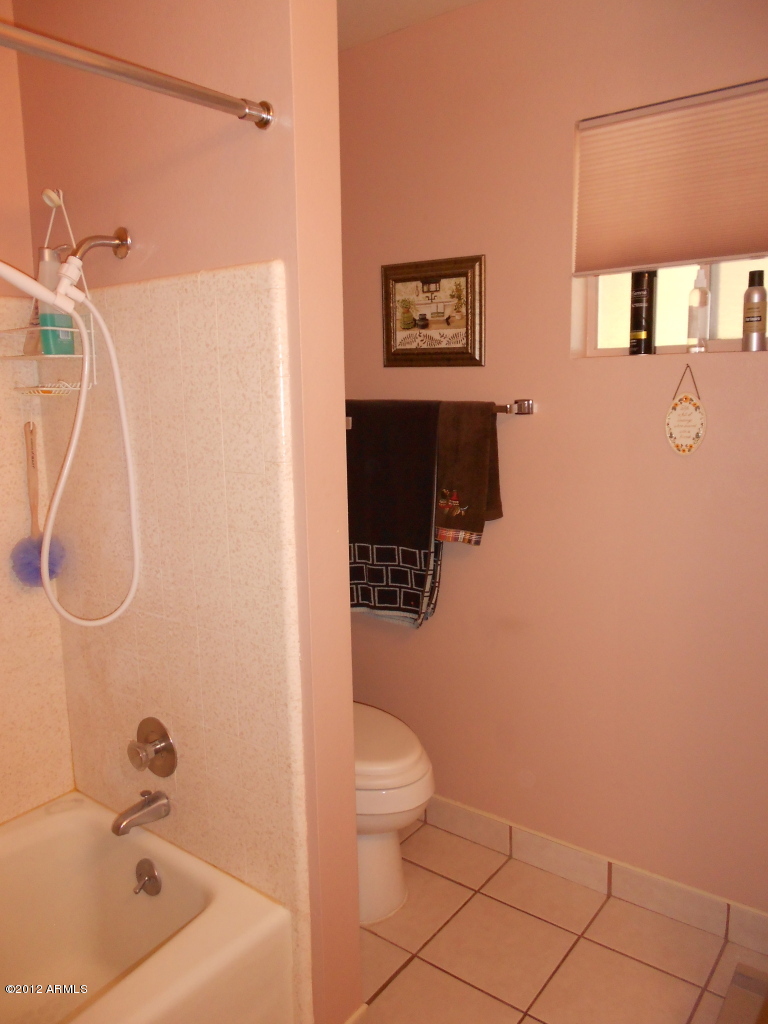 6552 East Decatur Street Mesa, AZ 85205 - Photo 20 of 27 guest bath