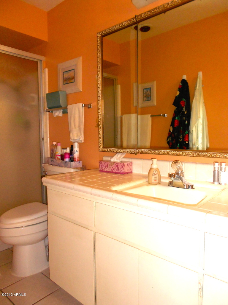 6552 East Decatur Street Mesa, AZ 85205 - Photo 25 of 27 master bath