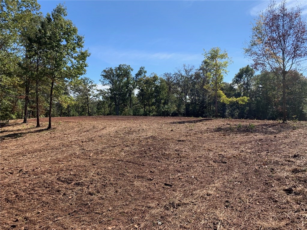 0 Old Mill Road Hartwell, GA 30643 - Photo 6 of 6 Gallery Image 6
