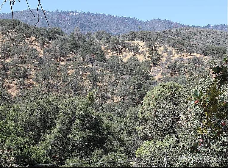 0 Owls Clover Road Caliente, CA 93518 - Photo 1 of 10 Gallery Image 1