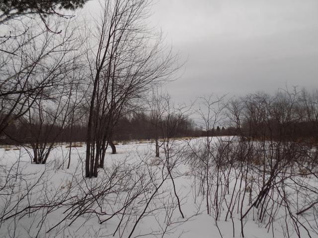 Off Of Rueckert Road, Unit PE 329 Rhinelander, WI 54501 - Photo 3 of 7 Gallery Image 3