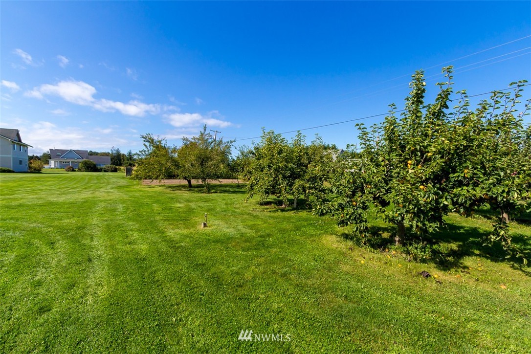 532 Heuhslein Road Port Angeles, WA 98362 - Photo 23 of 25 Gallery Image 23