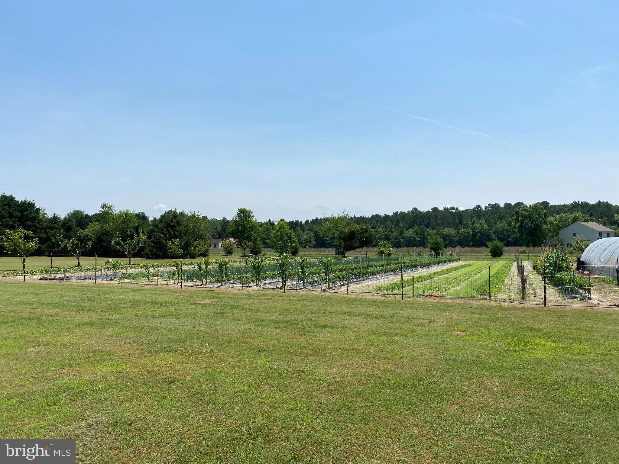 27707 Waller Road Salisbury, MD 21801 - Photo 8 of 15 Gallery Image 8