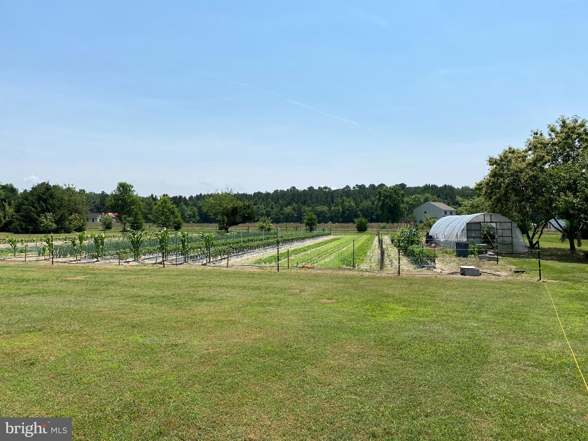 27707 Waller Road Salisbury, MD 21801 - Photo 9 of 15 Gallery Image 9
