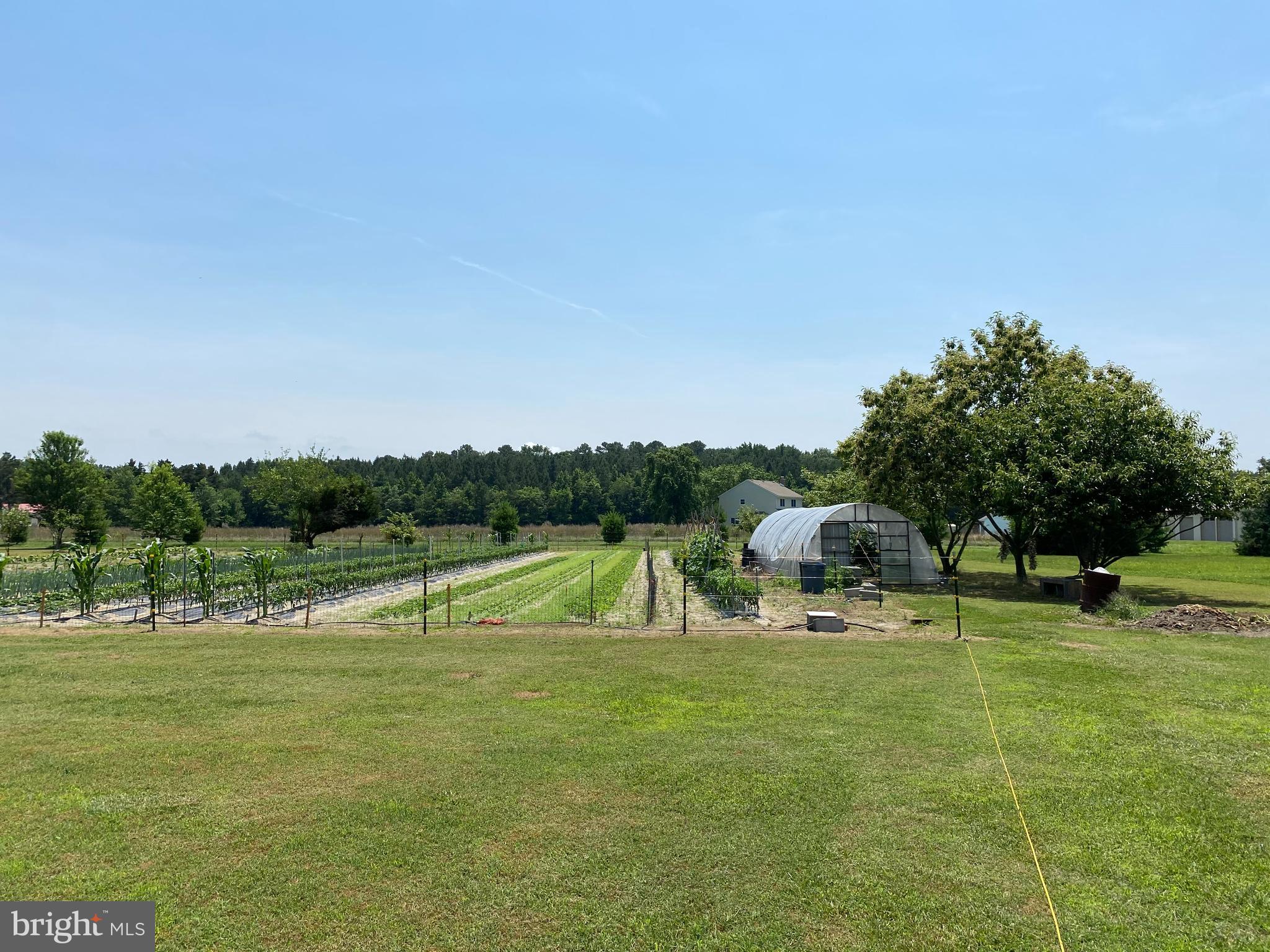 27707 Waller Road Salisbury, MD 21801 - Photo 10 of 15 Gallery Image 10