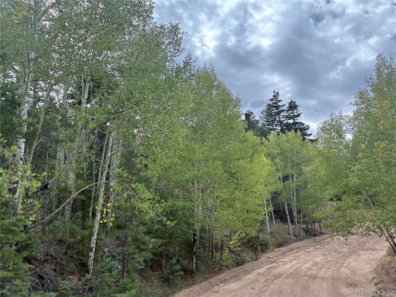 5965 Goldstein Road San Luis, CO 81152 - Photo 11 of 13 Gallery Image 11