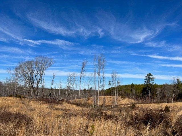 Colemans Mill Road Appomattox, VA 24522 - Photo 5 of 10 Gallery Image 5