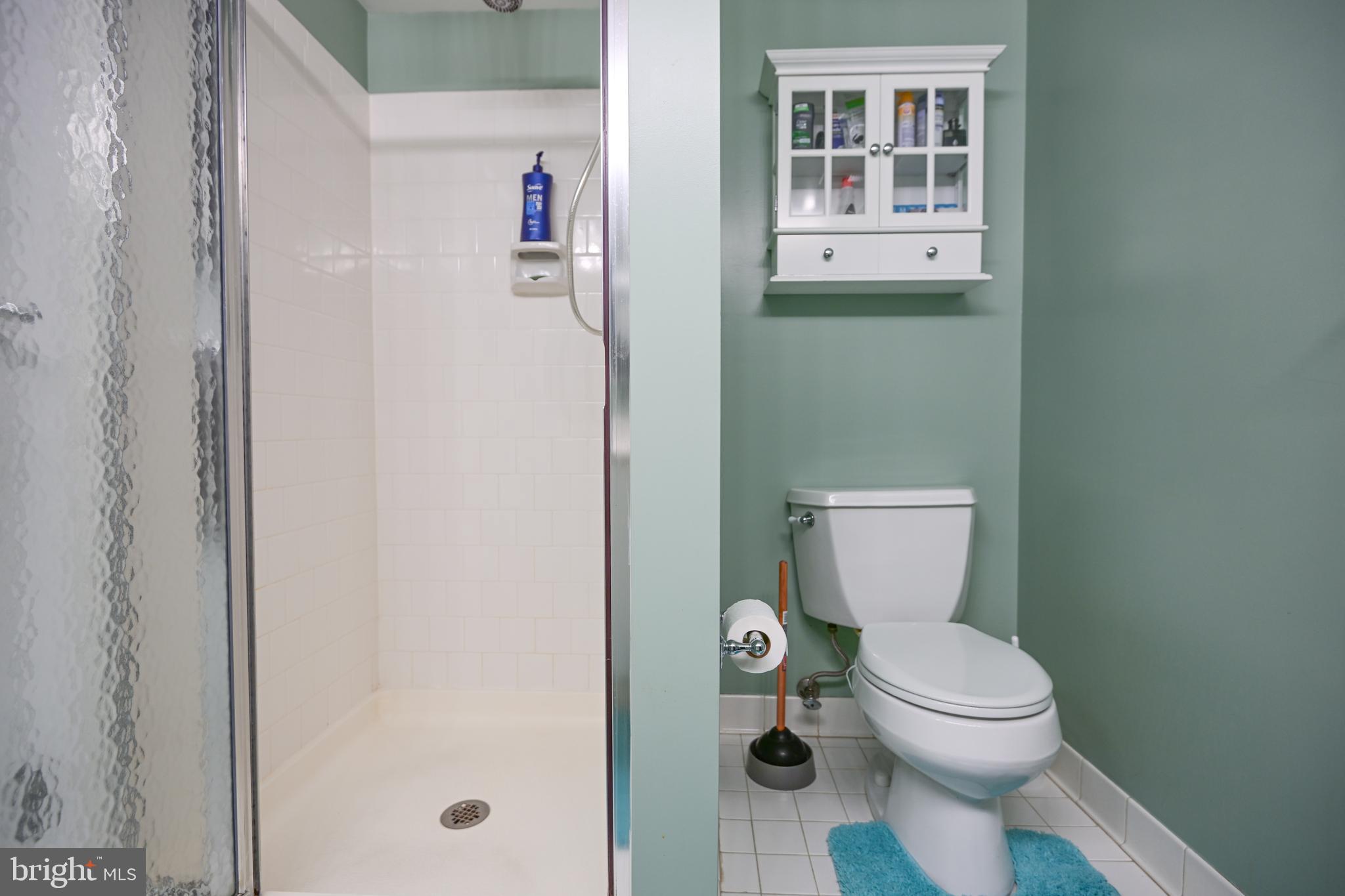 117 Castletown Road, Unit 301 Lutherville-Timonium, MD 21093 - Photo 17 of 23 primary bedroom bath