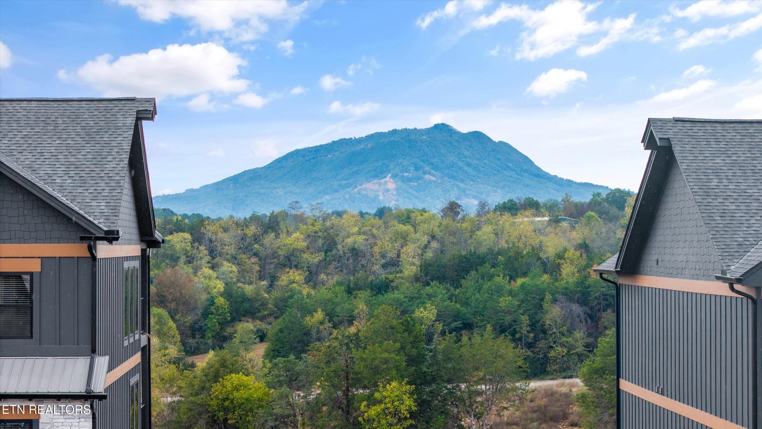 331 Rambling Crk Way, Unit LOT 55R Sevierville, TN 37862 - Photo 4 of 57 018-331 Rambling Crk Wy-03