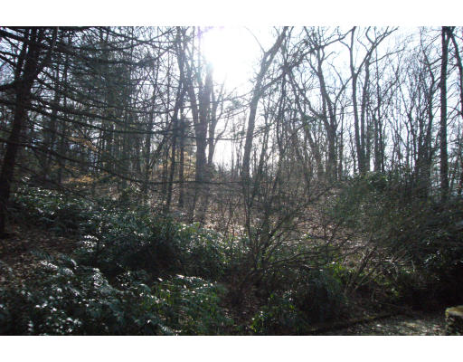 8 Baskin Road Lexington, MA 02421 - Photo 15 of 15 a view of outdoor space and a yard