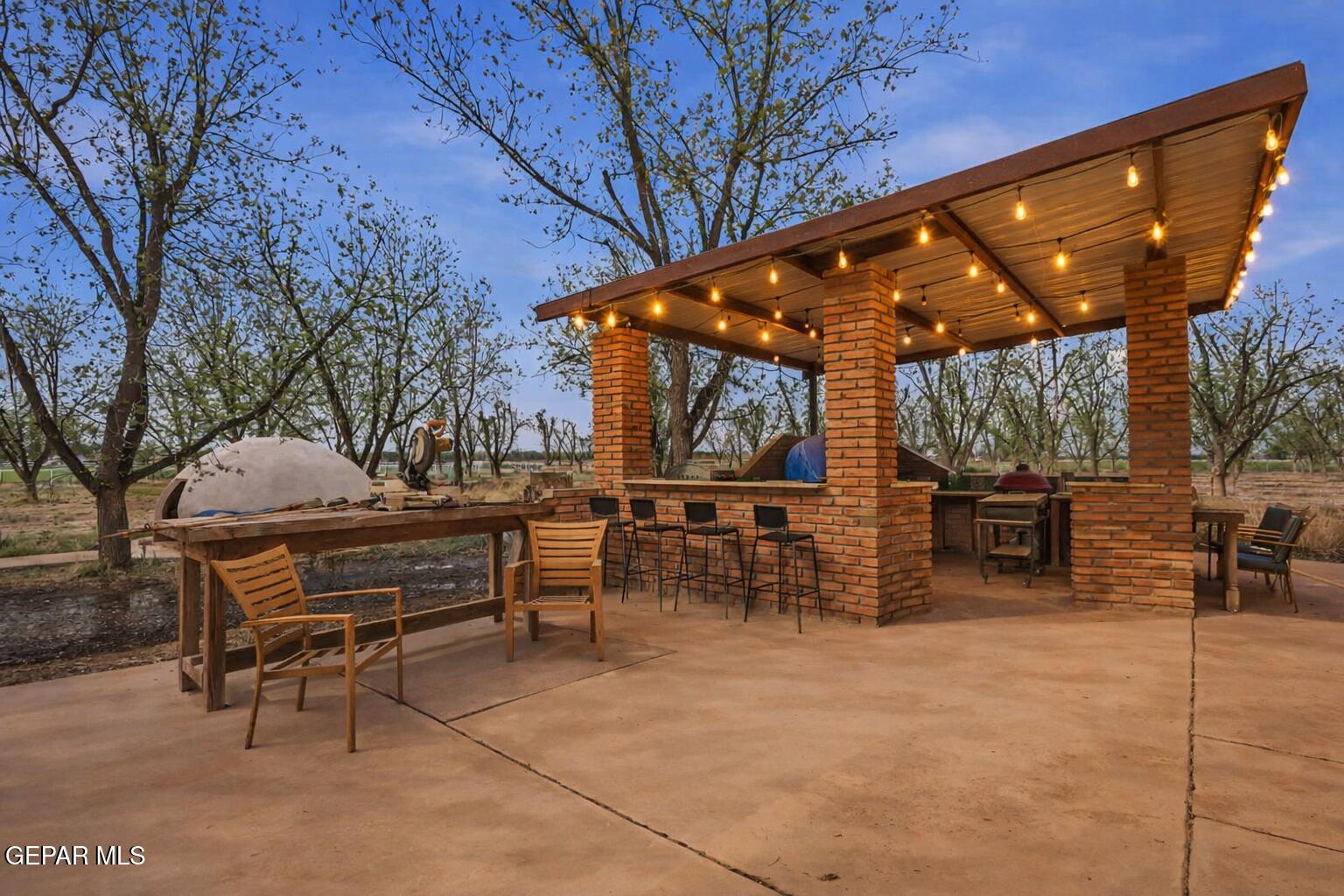 617 Wallace Road Anthony, NM 88021 - Photo 40 of 65 40-web IMG9068