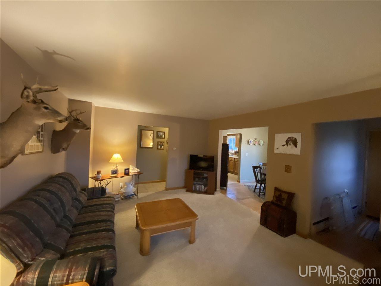 100 South Marigold Street Ishpeming, MI 49849 - Photo 19 of 42