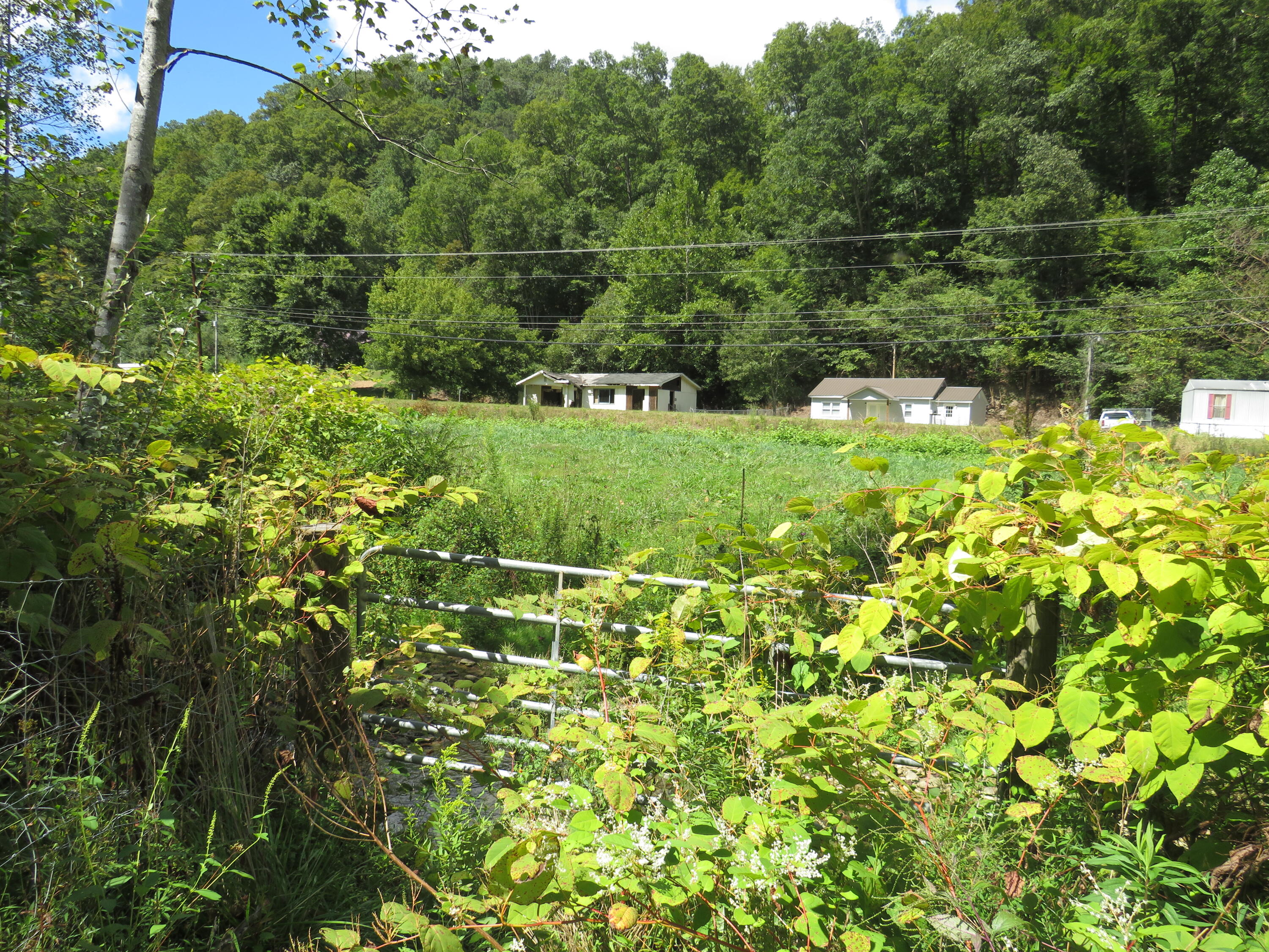 108 Lost Fork Road Manchester, KY 40962 - Photo 47 of 111 IMG_4451 - Copy