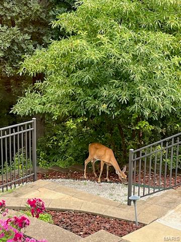 295 Romaine Spring View Fenton, MO 63026 - Photo 6 of 7