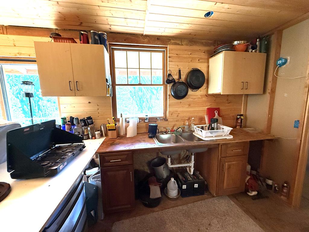 50 Dustin Road McCall, ID 83638 - Photo 11 of 21