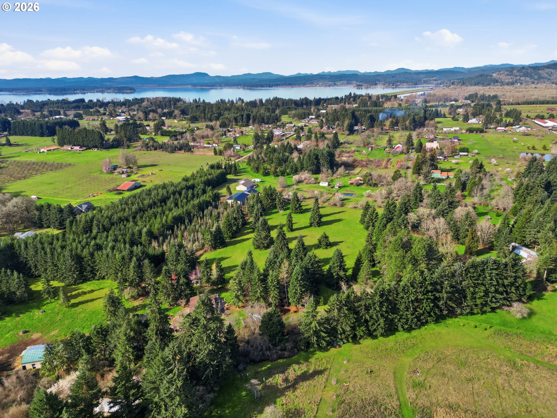 0 Fruitway Road Junction City, OR 97448 - Photo 11 of 13