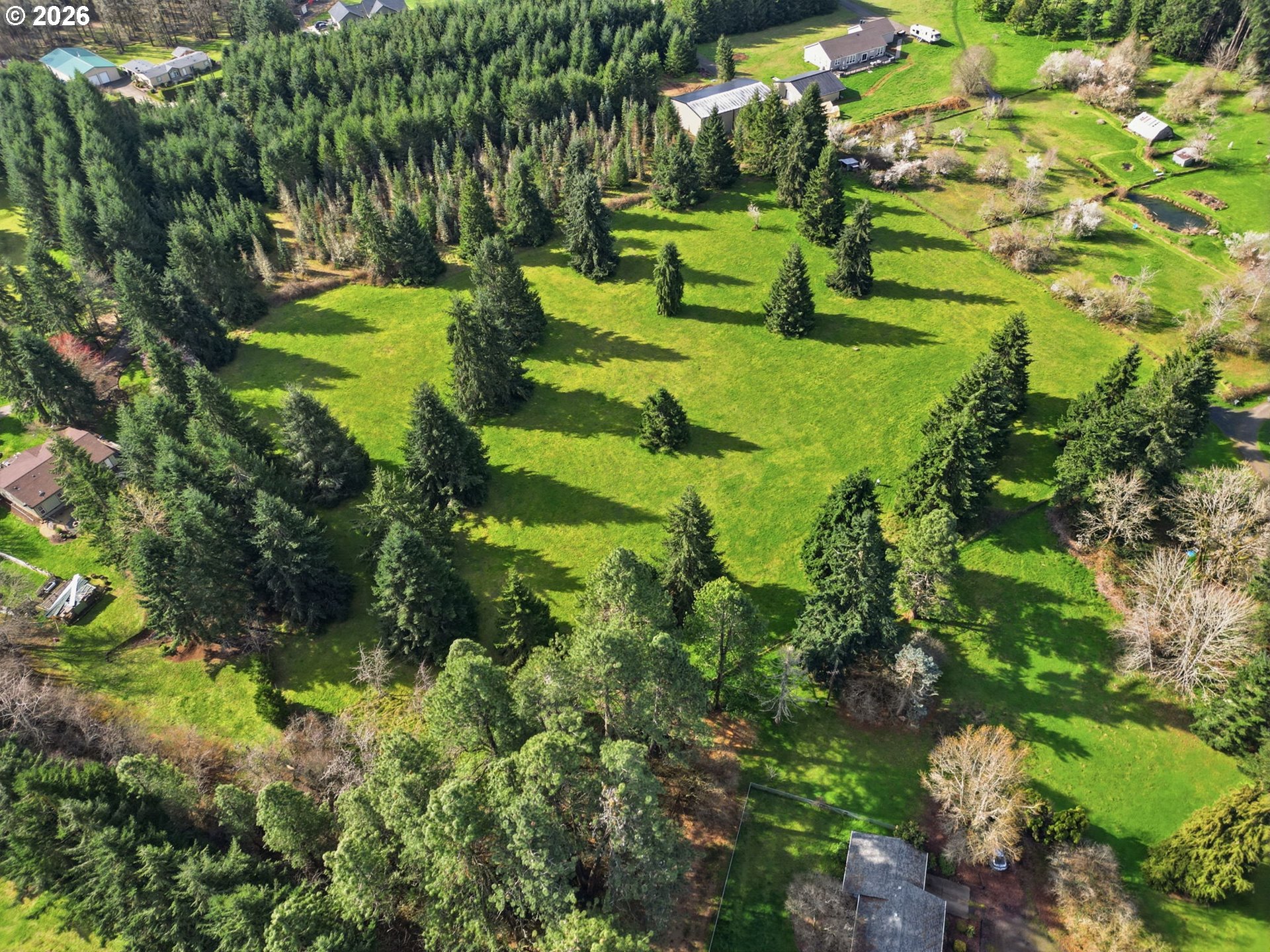 0 Fruitway Road Junction City, OR 97448 - Photo 13 of 13