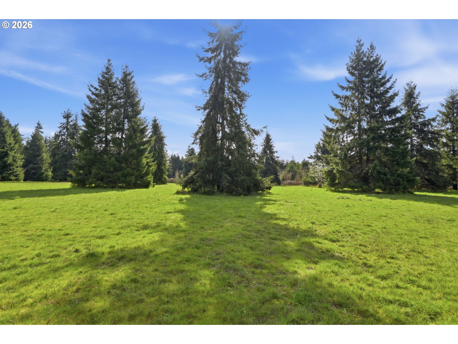 0 Fruitway Road Junction City, OR 97448 - Photo 3 of 13