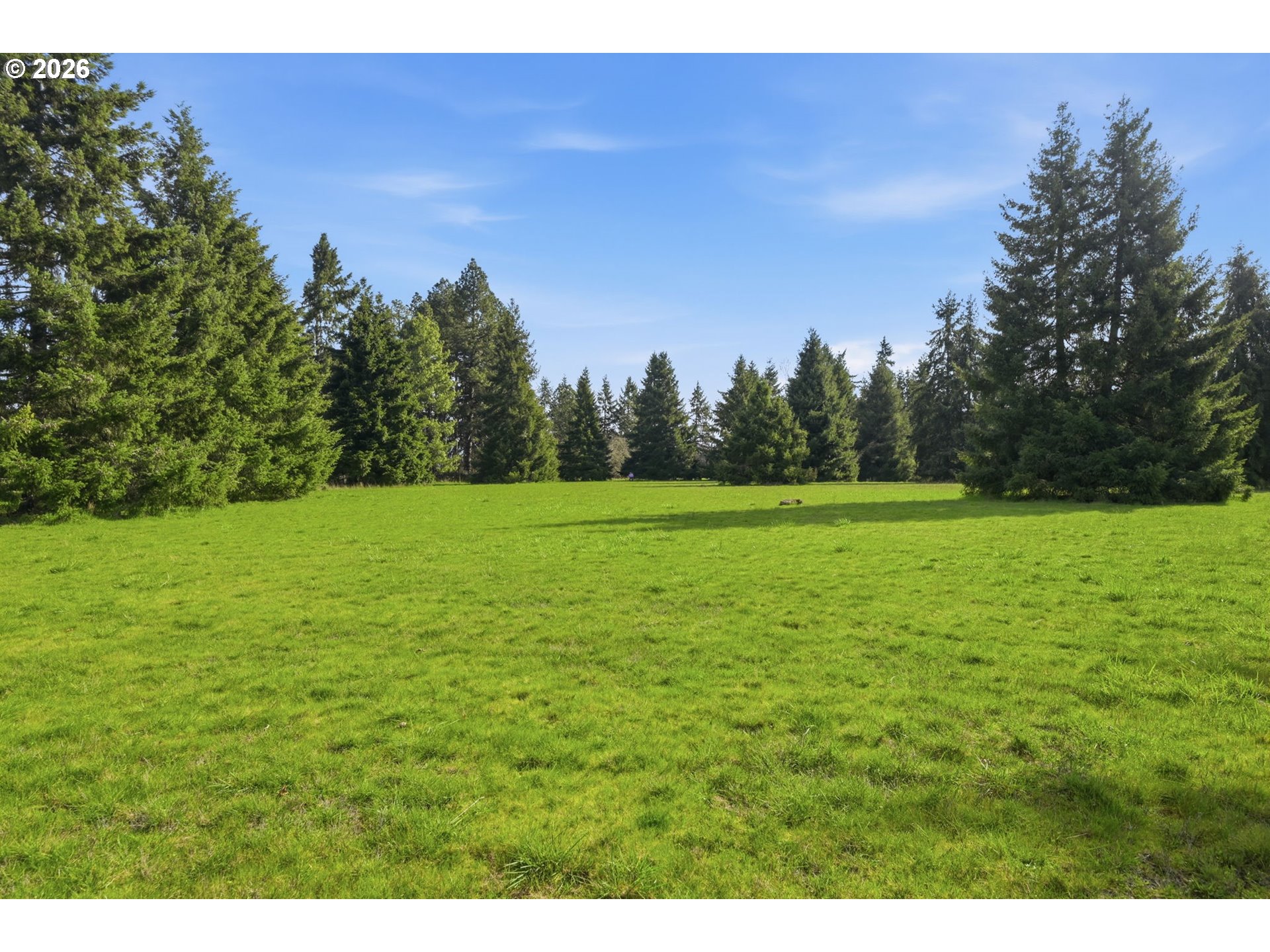 0 Fruitway Road Junction City, OR 97448 - Photo 4 of 13