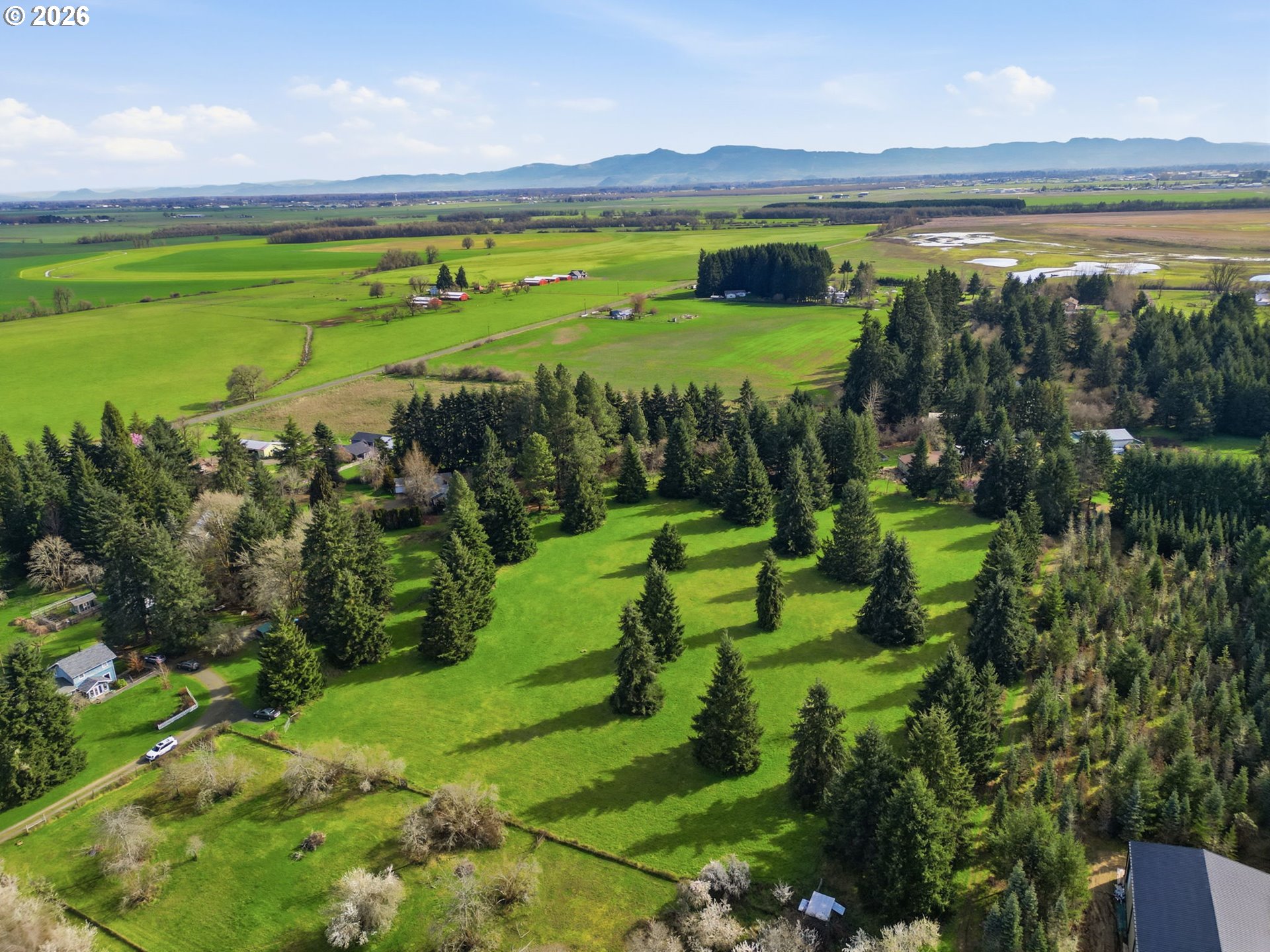 0 Fruitway Road Junction City, OR 97448 - Photo 9 of 13
