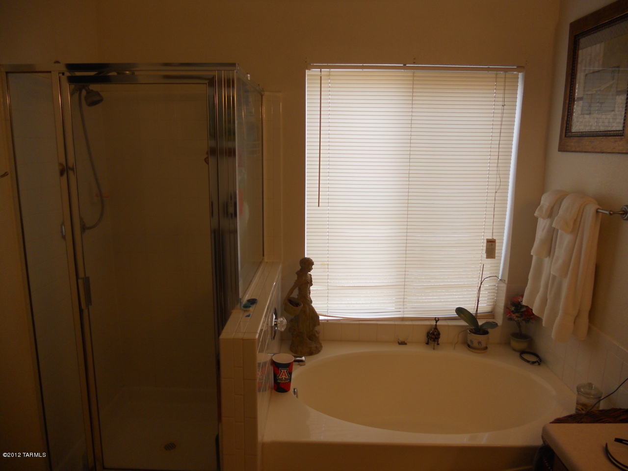 5566 South Swires Road Tucson, AZ 85746 - Photo 8 of 12 Gallery Image 8