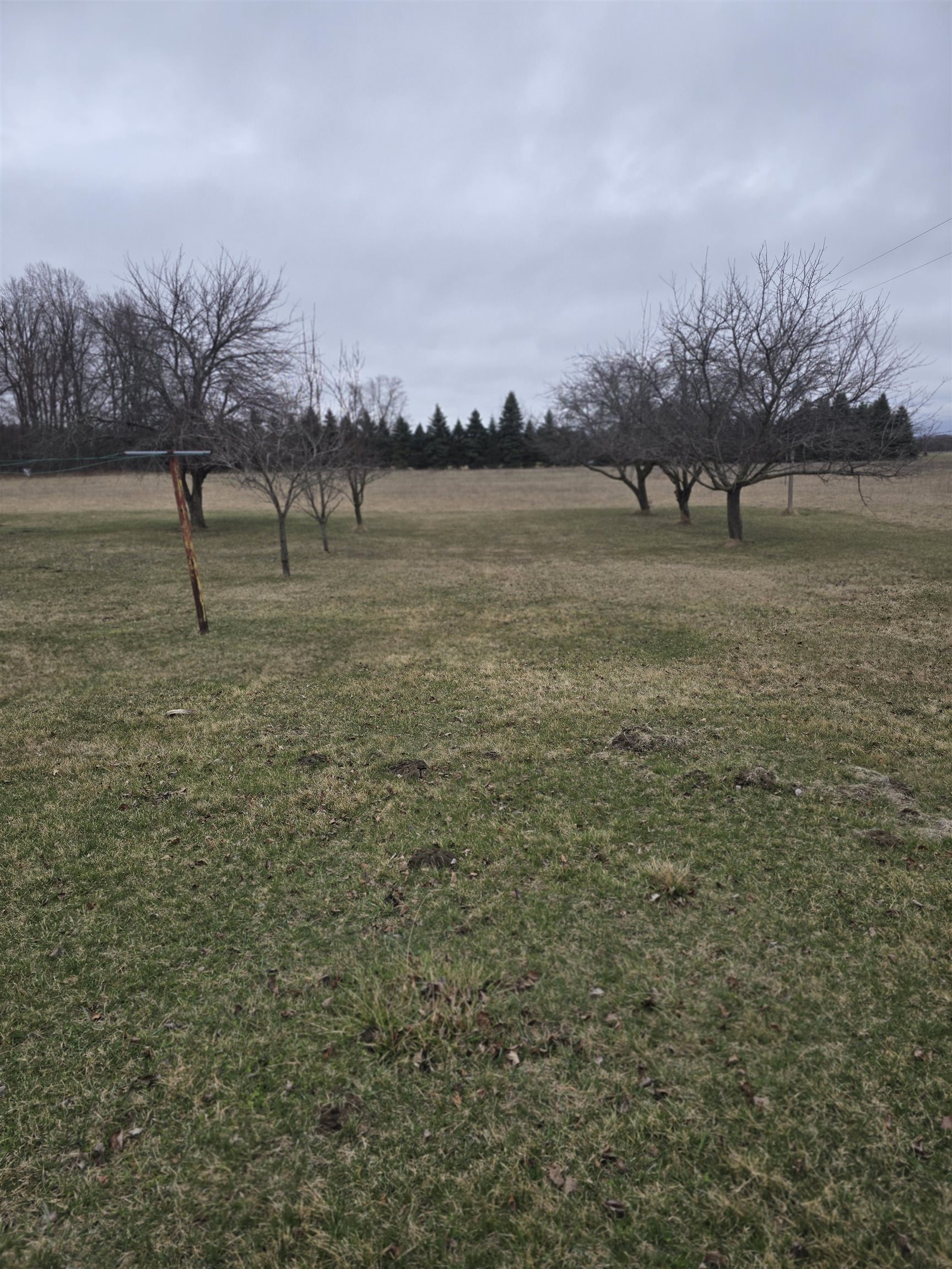 1215 West County Line Road Sumner, MI 48889 - Photo 26 of 37