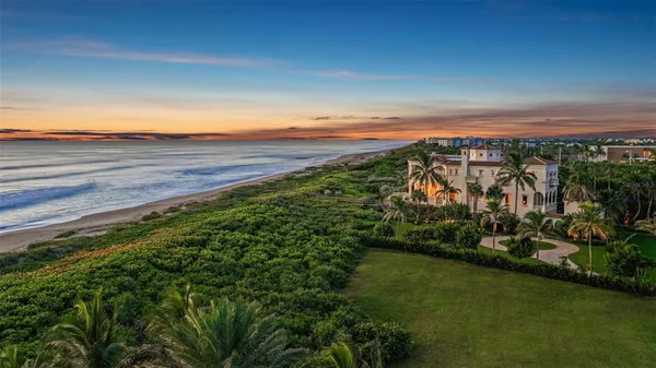 a view of a backyard of a house with a lawn chair and palm tree