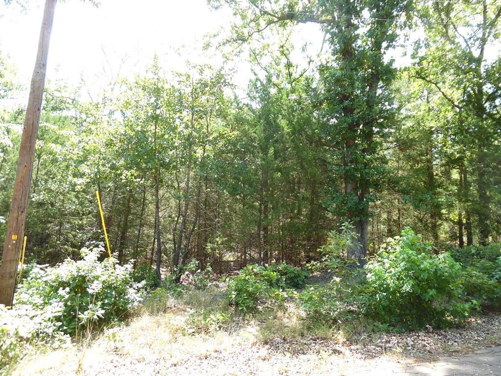 12-tbd Deer Path Murchison, TX 75778 - Photo 2 of 20 Gallery Image 2