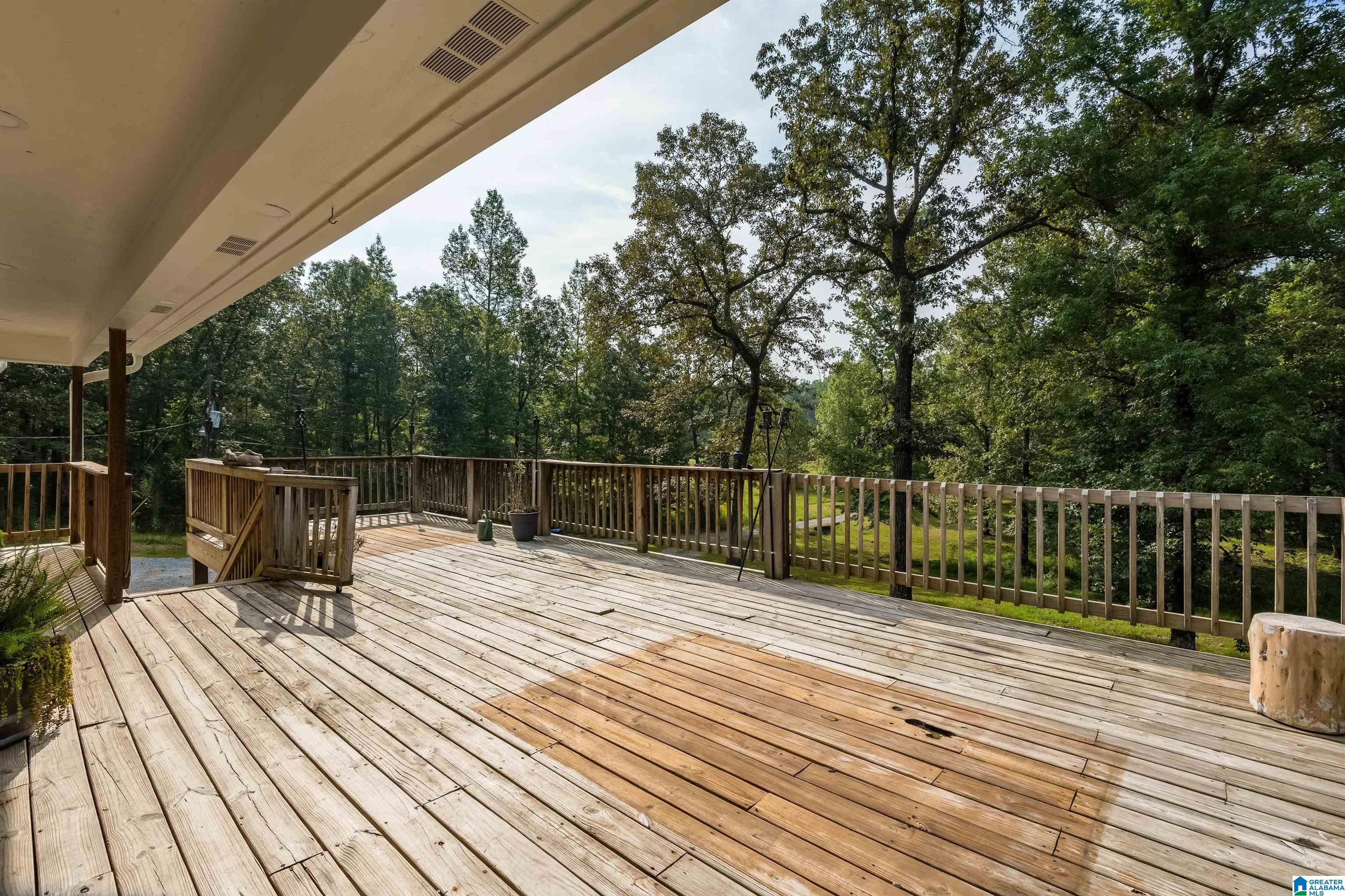525 Deer Trace Road Pell City, AL 35125 - Photo 10 of 44