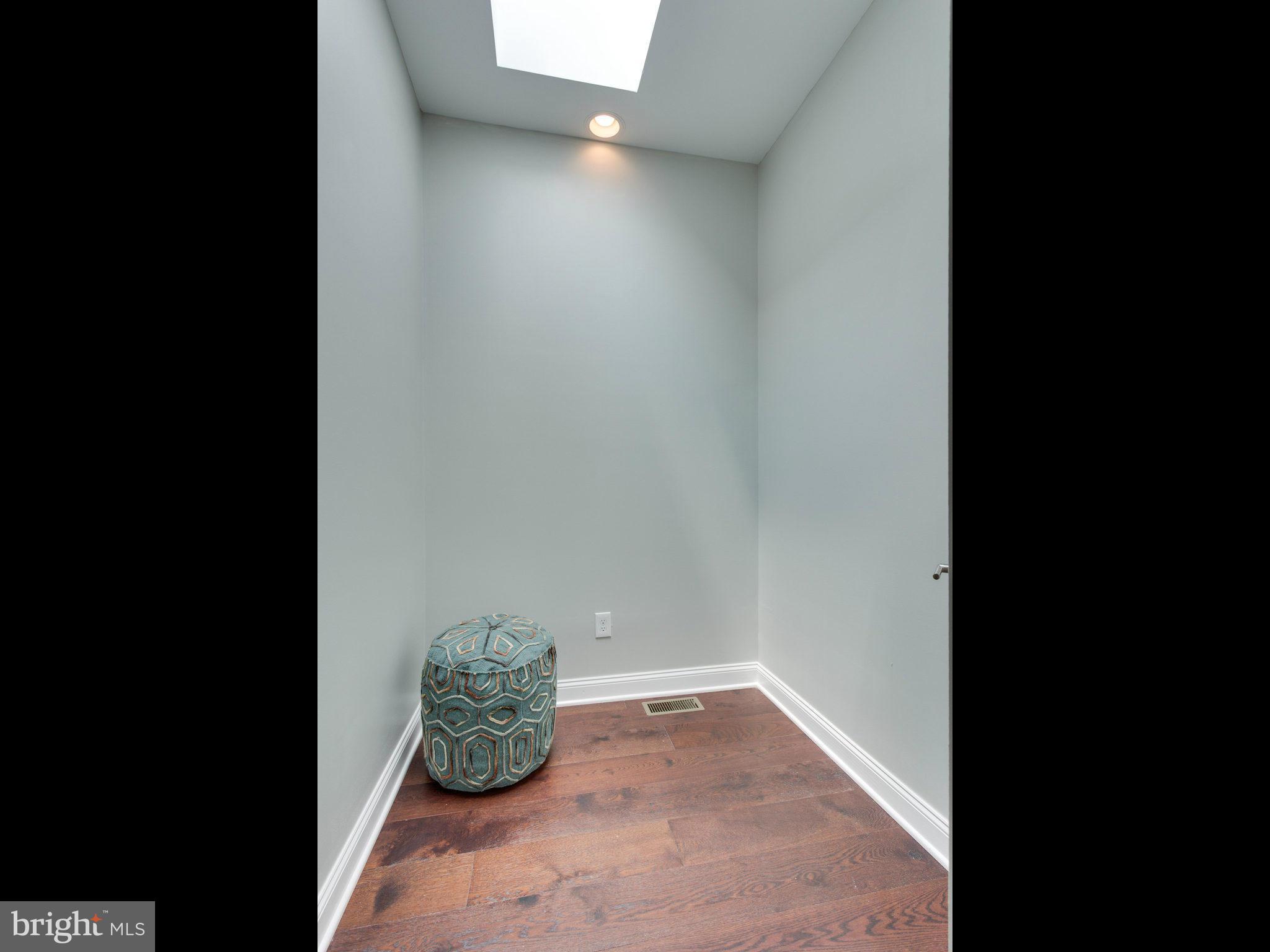 61 N Street Northwest, Unit 2 Washington, DC 20001 - Photo 23 of 28 Walk-in closet w/ skylight